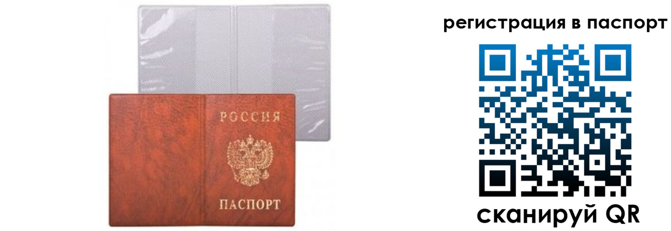 прописка ребенка в Сельцо